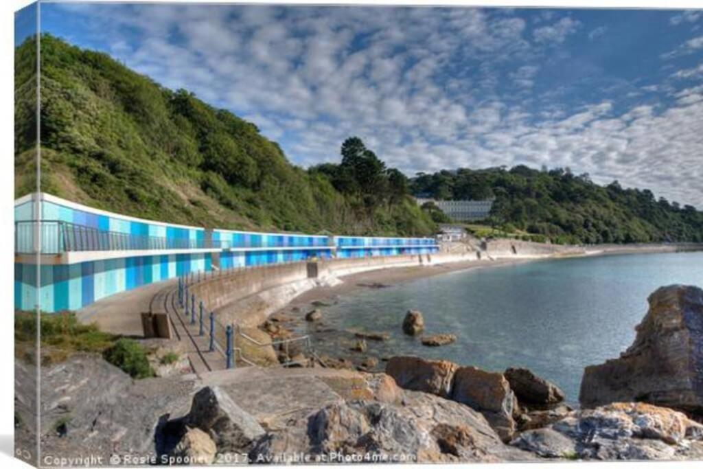 **Sunny And Bright, Thatchers Rock One Bed Beach Front Apartment*** Torquay Exterior photo